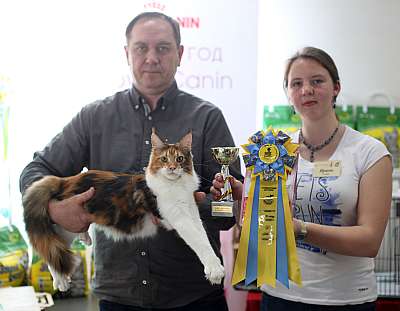 �������� ����� 11-12 ������ 2015 WCF-����� 9-29-169A4675 copy.jpg